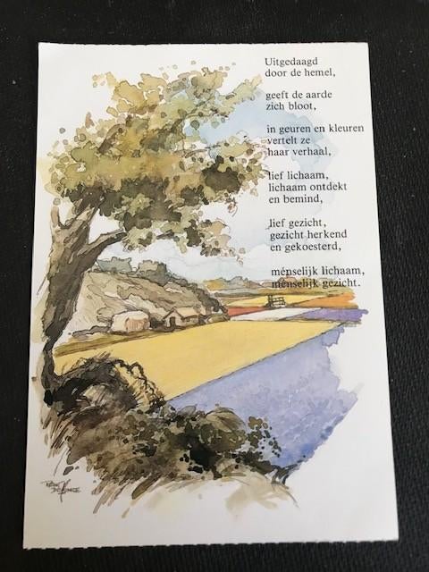 Reint de Jonge/Hans Bouma, Ophalen of Verzenden