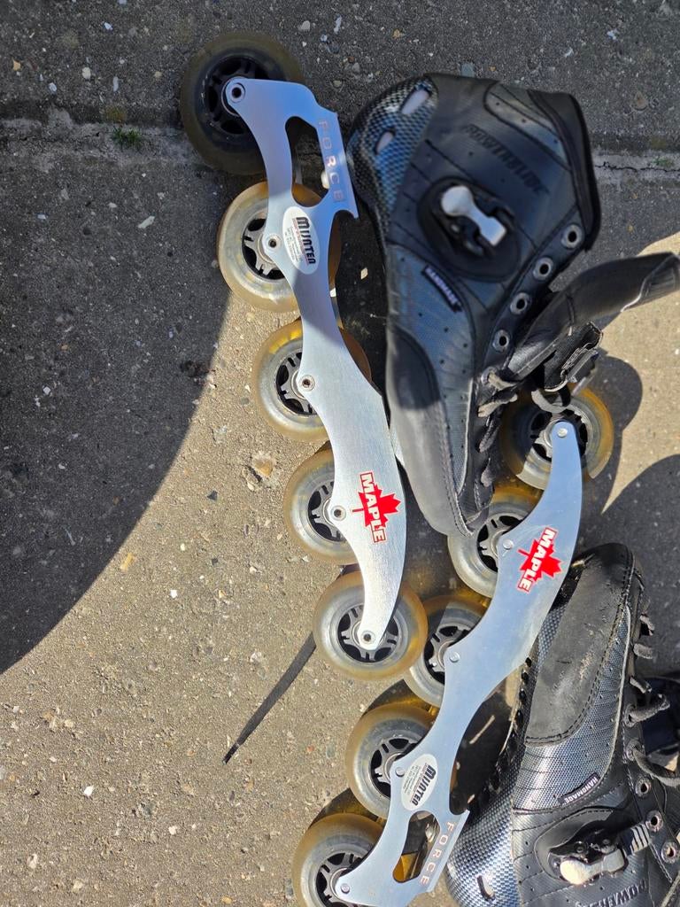 Skeelers maple, Ophalen of Verzenden, Gebruikt