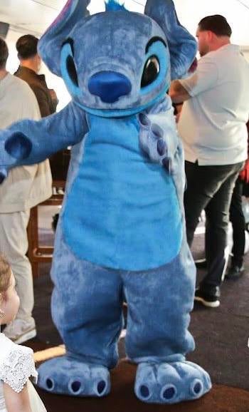 STITCH MASCOTTE VERHUUR, Ophalen of Verzenden, Zo goed als nieuw, Verjaardag