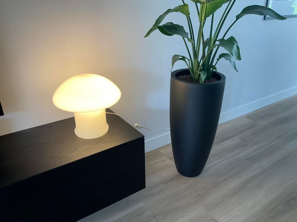 Vetri Murano lamp glas (Italiaans design) paddestoel, Gebruikt, Ophalen of Verzenden, Glas, Minder dan 50 cm