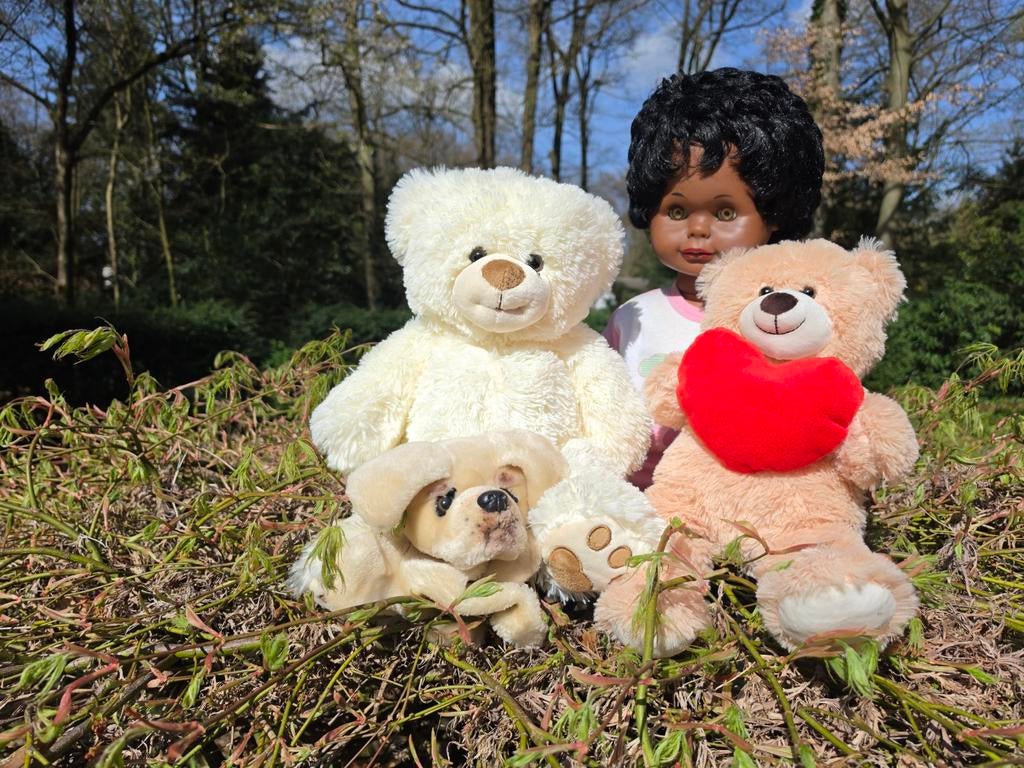 Pop, twee beren en een handpop, Ophalen, Beer