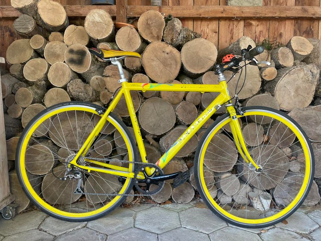 Vintage Pinarello Paris racefiets, Gebruikt, 53 tot 57 cm, Ophalen, Overige merken