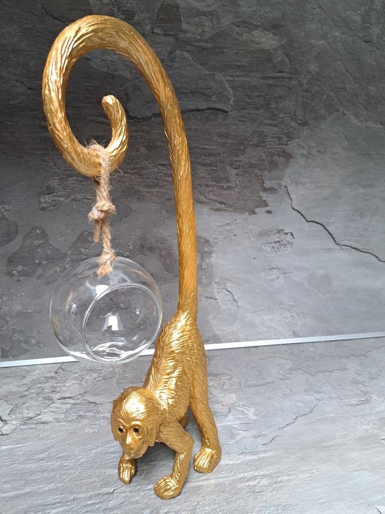 Goudkleurig aapje, Ophalen