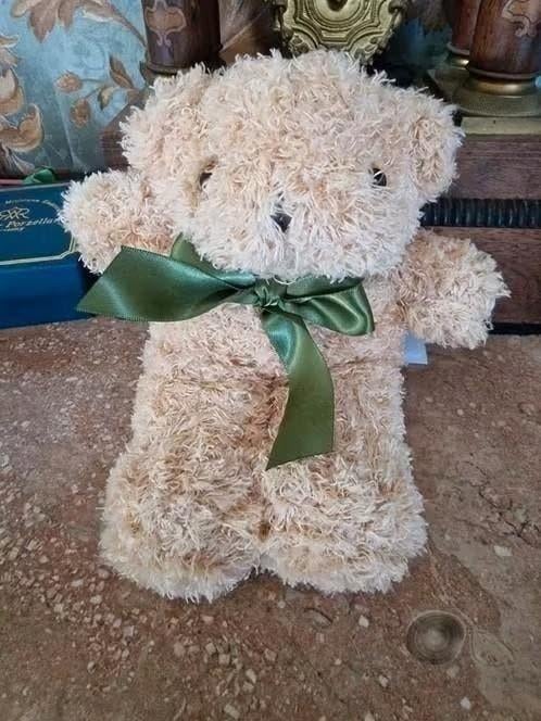 lief zacht beertje 22 cm, Ophalen of Verzenden, Beer