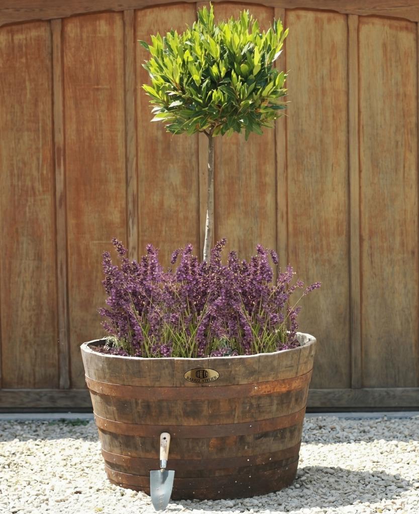 Kuipen Plantenbak Waterornament Vijver, Tuin en Terras, Vijvers, Nieuw, Barrel Atelier, Ophalen of Verzenden, Info@barrelatelier.nl