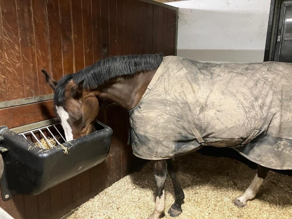 Slowfeeder, Dieren en Toebehoren, Stalling en Weidegang, Toebehoren, 1 paard of pony