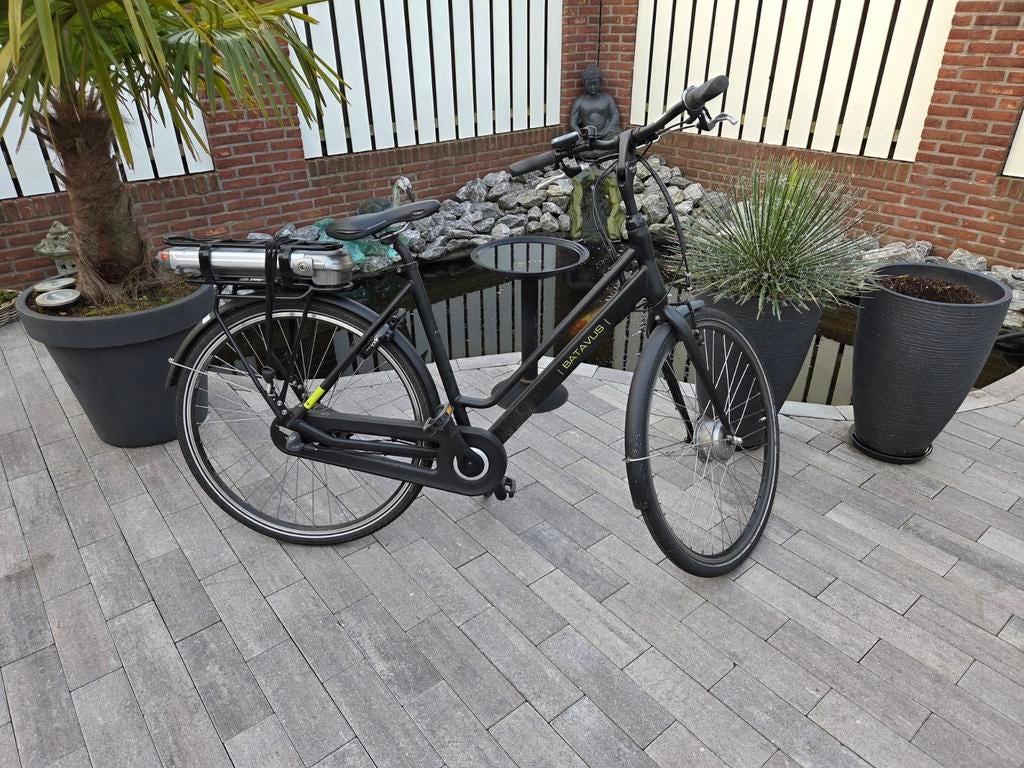 Electrische fiets, Ophalen of Verzenden, 250 cm of meer, Palen