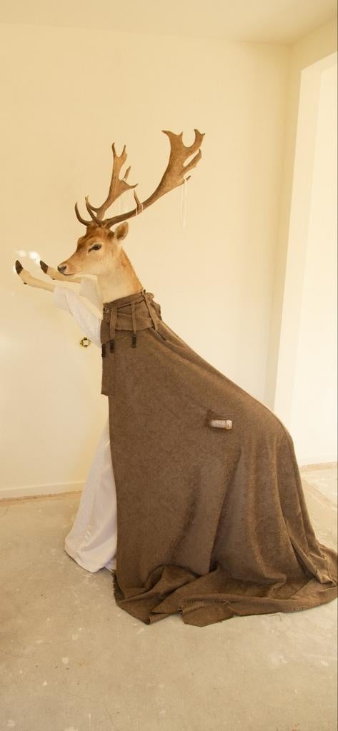 Uniek kunstopject opgezet damhert te huur, Ophalen of Verzenden