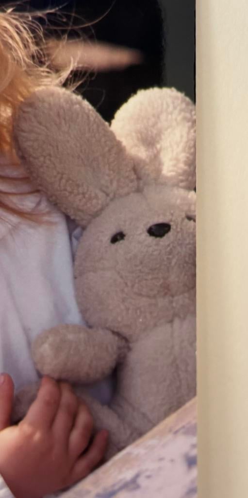 Gezocht: oud knuffel konijn (Edah 1995), Ophalen of Verzenden, Zo goed als nieuw