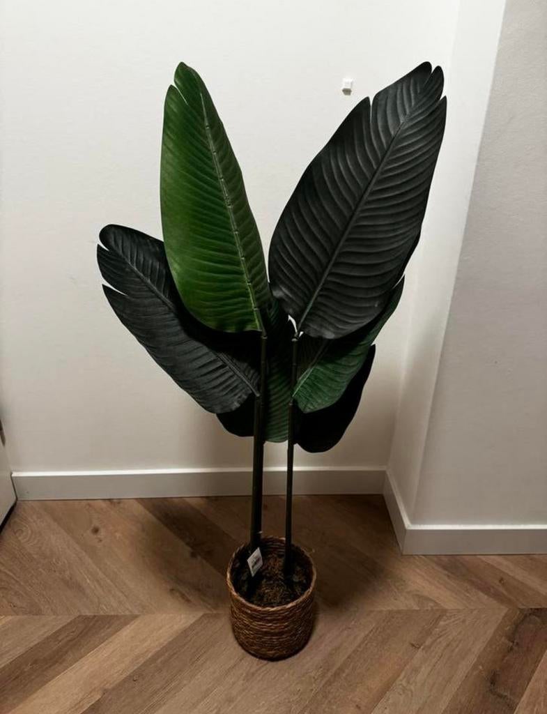 Kunstplant Strelitzia, Ophalen, Binnen, Kunstplant, Kunststof