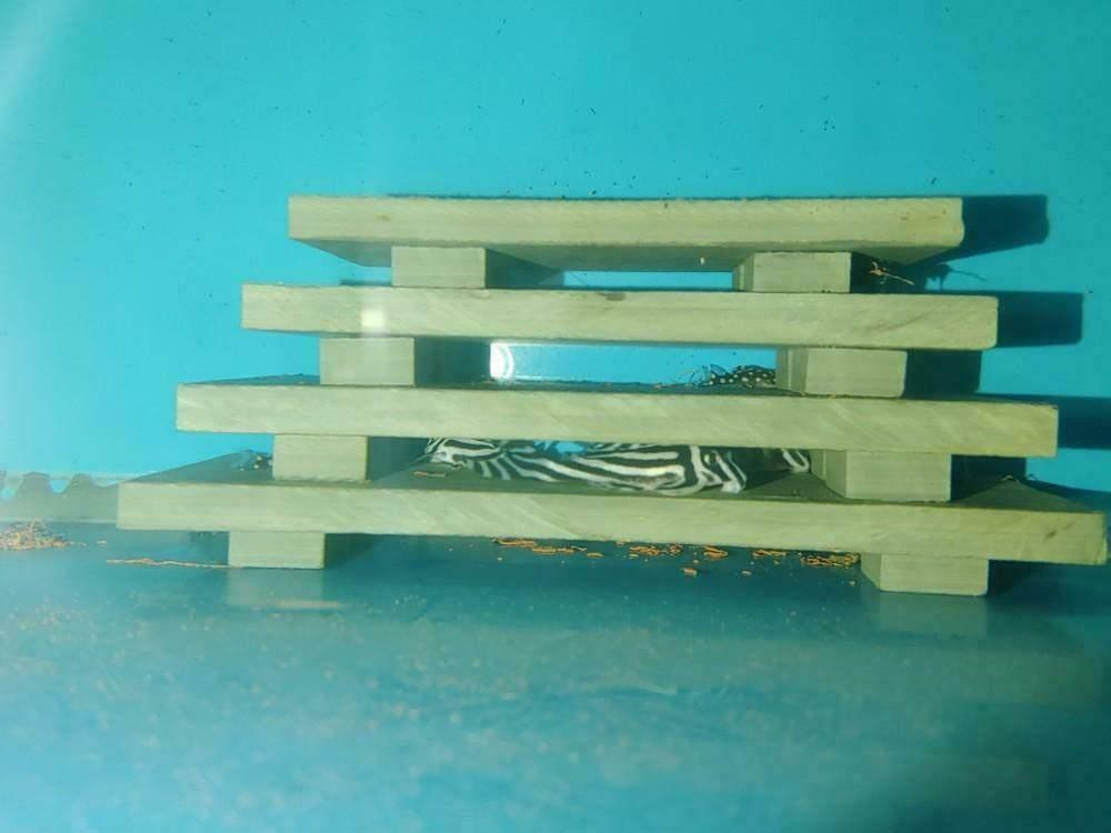 Legflat - Pagode - Schuilplaats L-Nummers, Dieren en Toebehoren, Vissen | Aquaria en Toebehoren, Ophalen, Nieuw, Overige typen