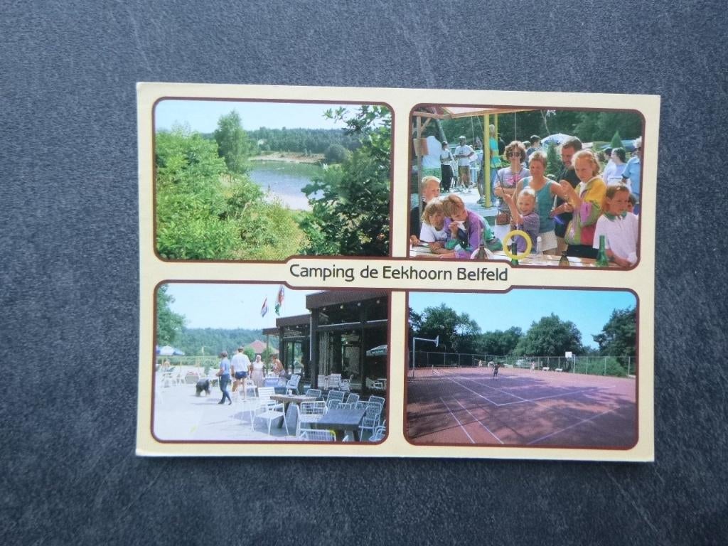 Belfeld, camping de Eekhoorn/tennisbaan, Verzenden, 1980 tot heden, Gelopen, Gelderland