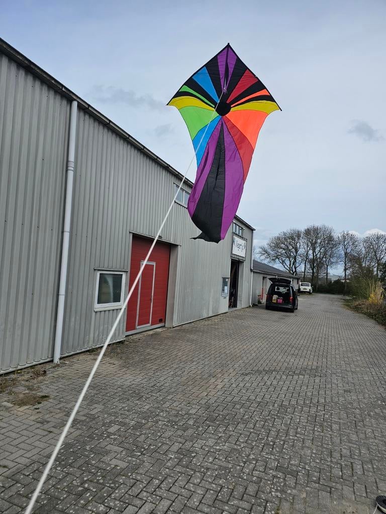 Sluierdelta Regenboog Vlieger - Spectaculair en Kleurrijk, Sport en Fitness, Vliegeren, Onbekend, Nieuw, Ophalen of Verzenden