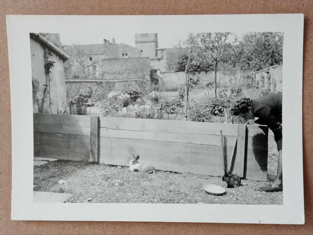 Vrouw met 2 konijnen jaren 50-60, Ophalen of Verzenden, 1940 tot 1960, Gebruikt, Overige onderwerpen
