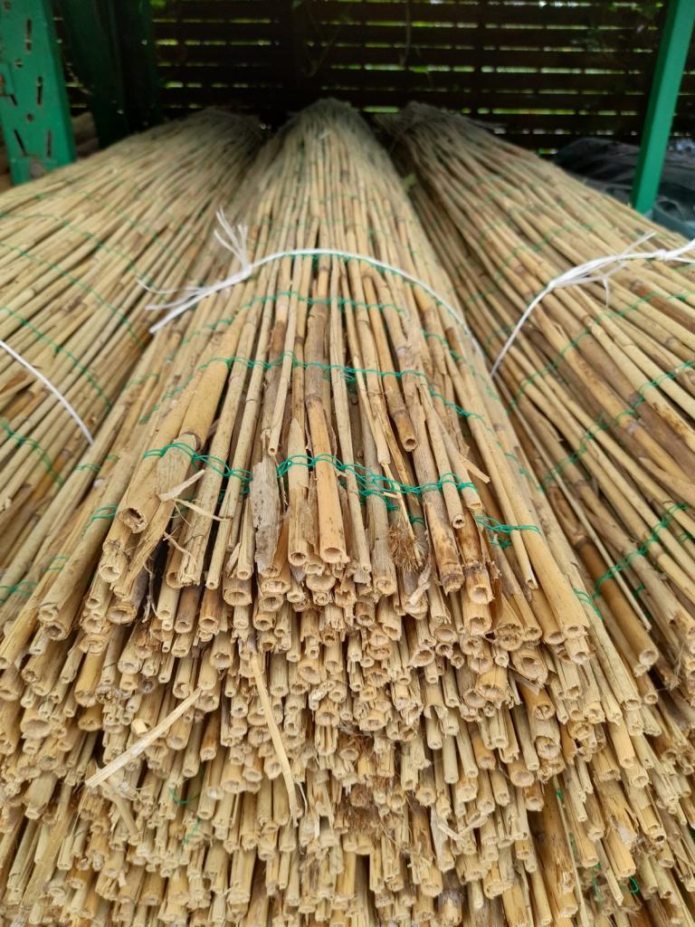 Rietmatten, mooie kwaliteit (*), Niet ingevuld, Niet ingevuld, Nieuw, Ophalen of Verzenden