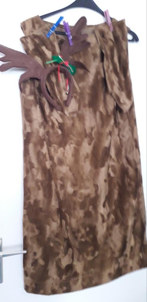 Rendier, Ophalen, Zo goed als nieuw, Maat 38/40 (M), Carnaval