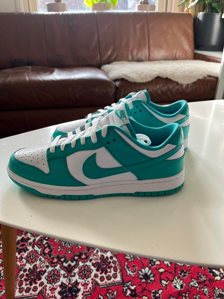 Nike dunk low maat 44 nieuw, Ophalen of Verzenden, Nieuw