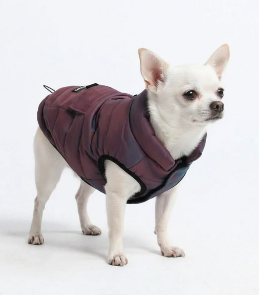 Honden jasje, water afstotend, Ophalen of Verzenden, Zo goed als nieuw, Hondenjas