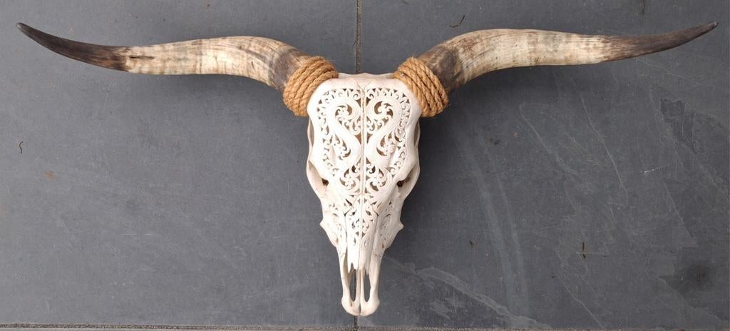 Handgegraveerde echte buffelschedel longhorn, Ophalen of Verzenden