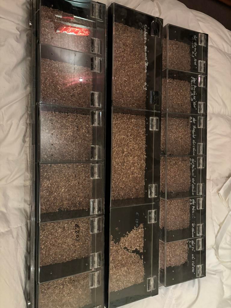 2 Beurs displays, Ophalen of Verzenden