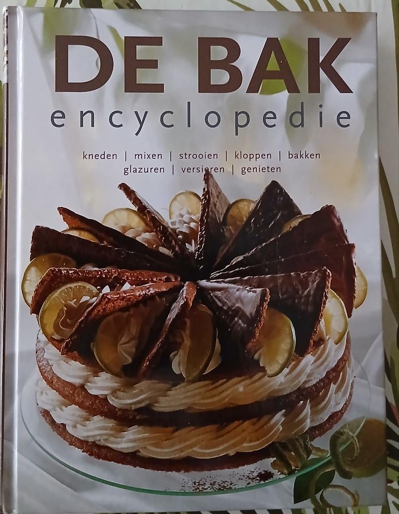 De Bak encyclopedie, Ophalen of Verzenden, Zo goed als nieuw, Nederland en België
