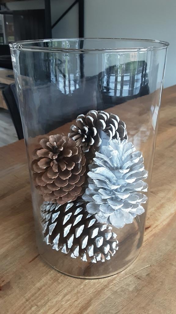 NIEUW!  GROTE CILINDERVAAS,  GLAS , LEUK VOOR PAASDECORATIE!, Huis en Inrichting, Ophalen, Overige kleuren, Nieuw, Glas