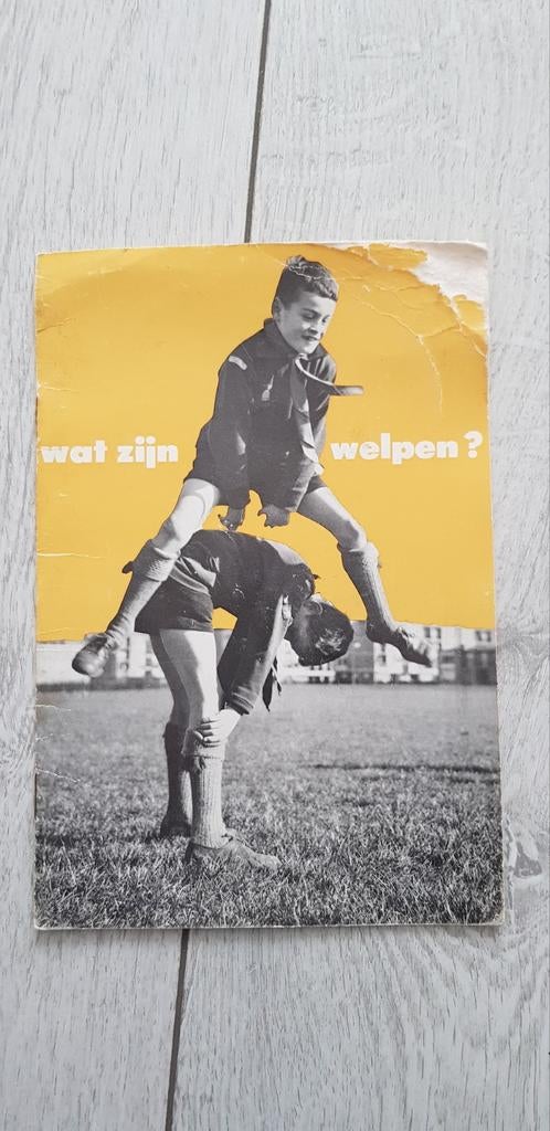 Scouting / Padvinderij boekje "Wat zijn Welpen", Ophalen of Verzenden, Gebruikt, Boek of Tijdschrift