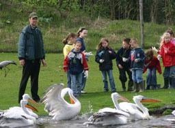 30% korting ZooParc in Overloon (max. 4 personen), Drie personen of meer, Kortingskaart