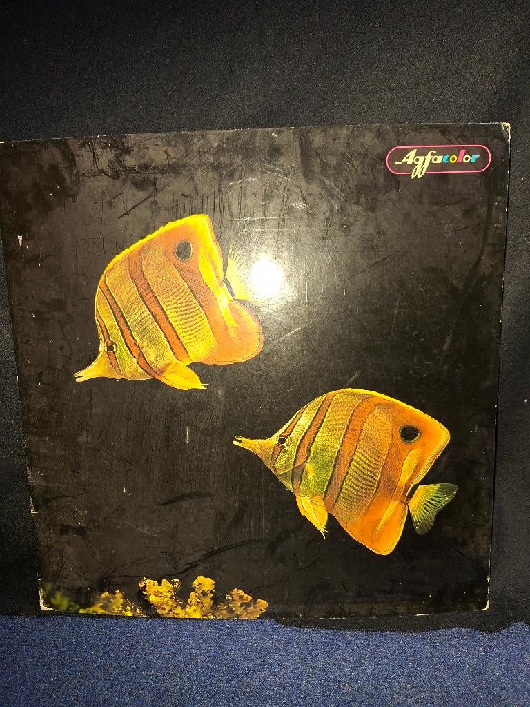 Agfa color poster B19/65, Ophalen, Gebruikt, Reclamebord