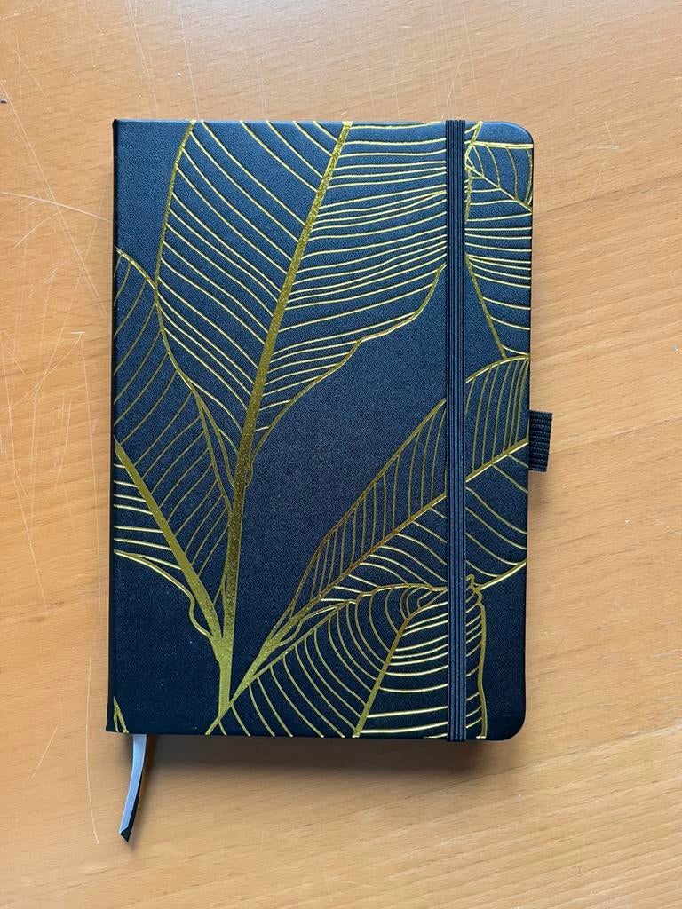 Zwart bullet journal met zwarte bladzijdes (notitieboek), Ophalen of Verzenden, Nieuw, A5