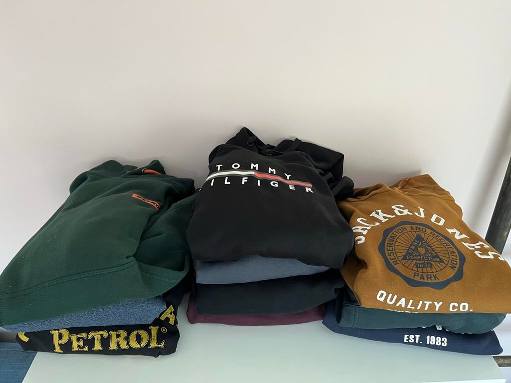 10x Heren Hoodies L-XXL Merken Mix, Ophalen of Verzenden, Gedragen, Maat 52/54 (L), Overige kleuren