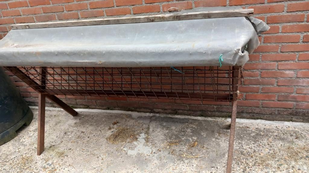 Hooiruif, Meerdere dieren, Schaap