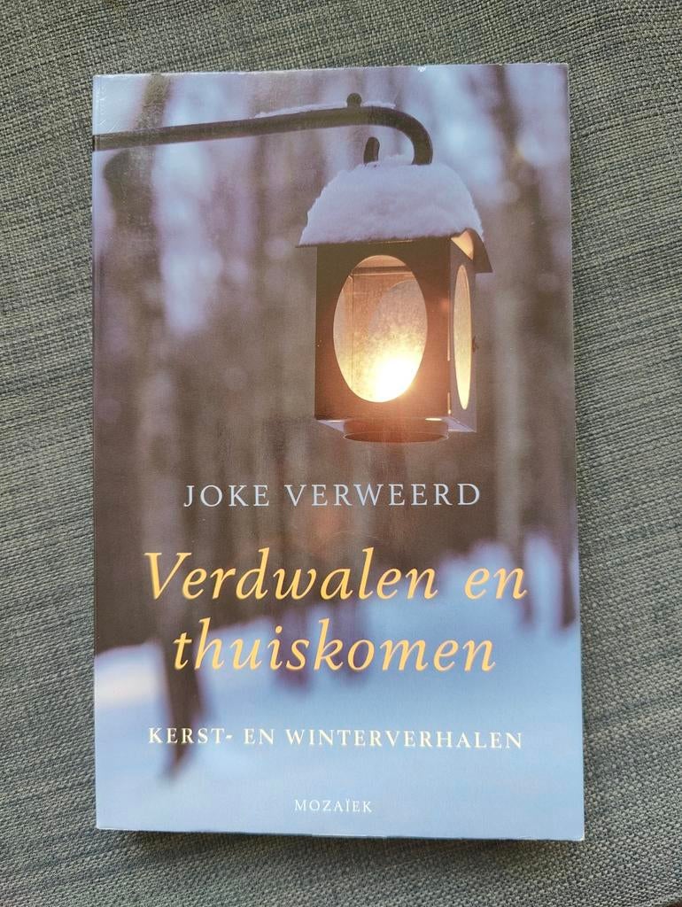 Verdwalen en thuiskomen - Joke Verweerd, Ophalen of Verzenden, Zo goed als nieuw, Joke Verweerd