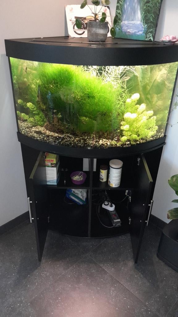 Hoek aquarium juwel 70 70 60 aquarium pomp  vissen planten, Dieren en Toebehoren, Vissen | Aquaria en Toebehoren, Ophalen, Zo goed als nieuw