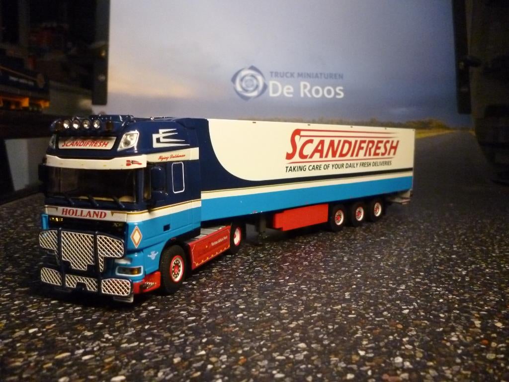 WSI DAF XF 105 Scandifresh / Hovotrans, Hobby en Vrije tijd, Modelauto's | 1:50, Ophalen of Verzenden, Nieuw, Bus of Vrachtwagen
