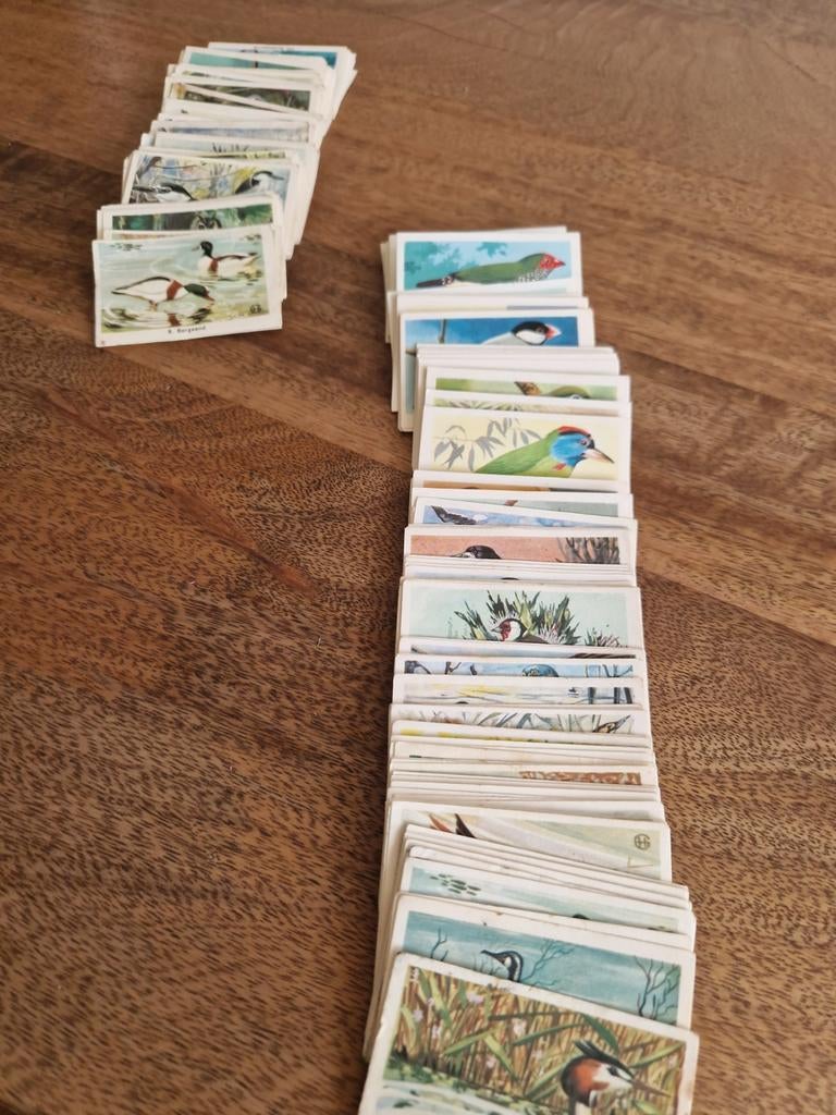 Rizla Zo leer je vogels kennen plaatjes, Ophalen of Verzenden, Meerdere plaatjes