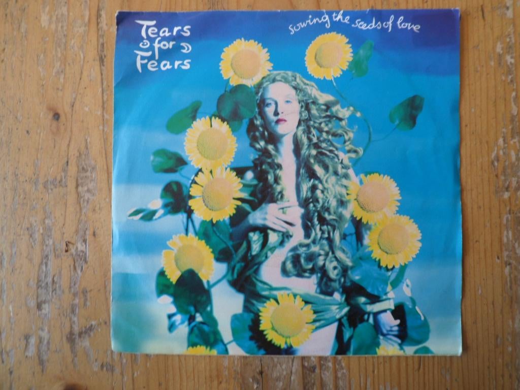 Tears for Fears, Cd's en Dvd's, Vinyl Singles, Ophalen of Verzenden, Zo goed als nieuw, Pop