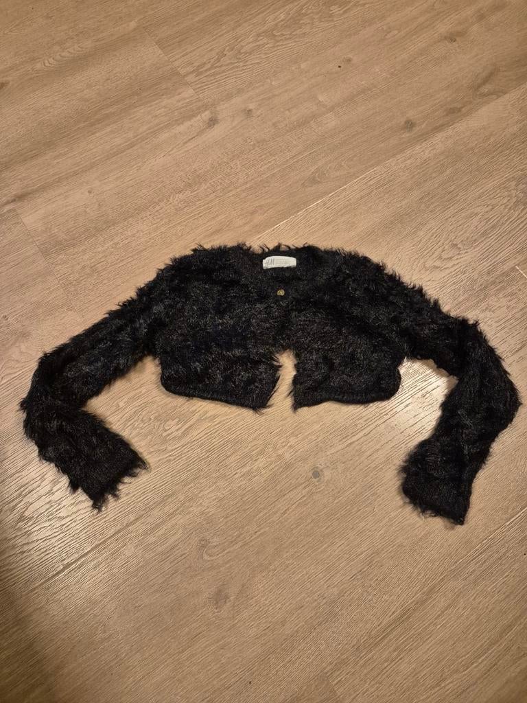 Bolero maat 110/116, Ophalen of Verzenden, Zo goed als nieuw, Meisje, Trui of Vest