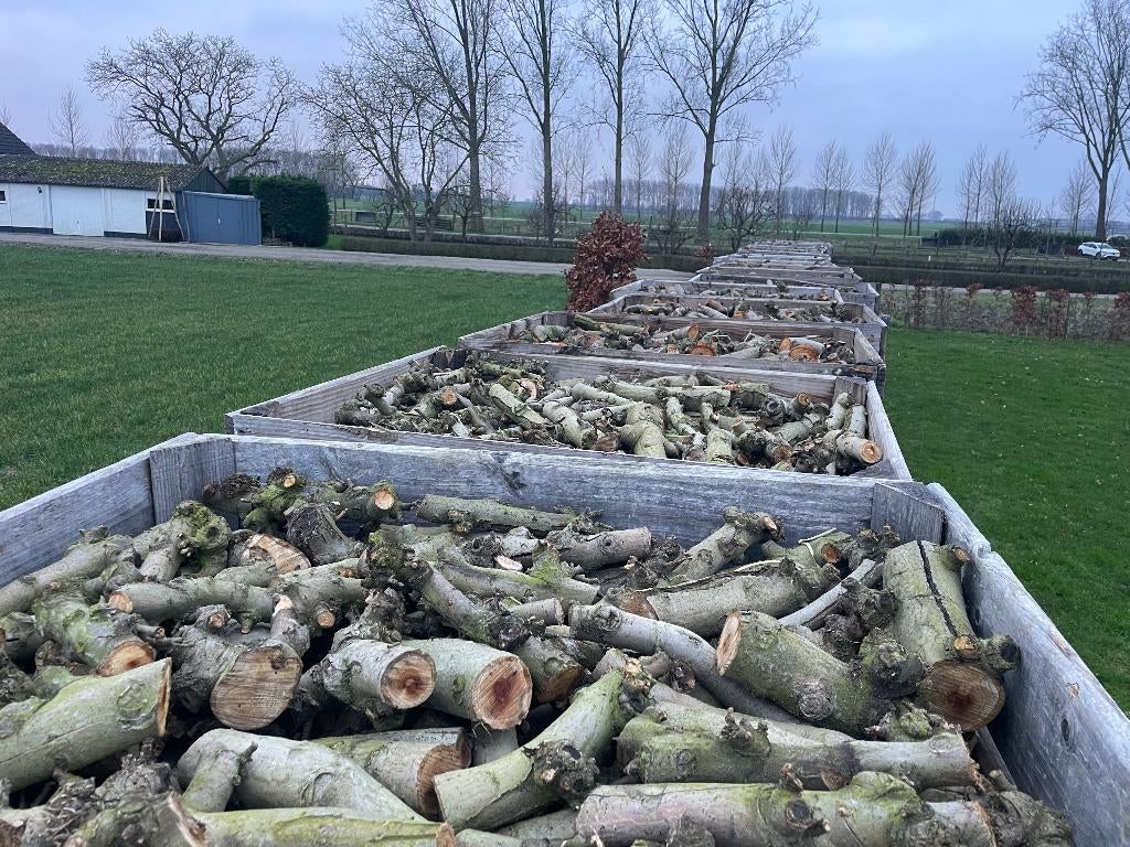 Openhaardhout Haardhout Kachelhout Appelhout Fruitbomenhout, 3 tot 6 m³, Ophalen, Overige houtsoorten, Blokken