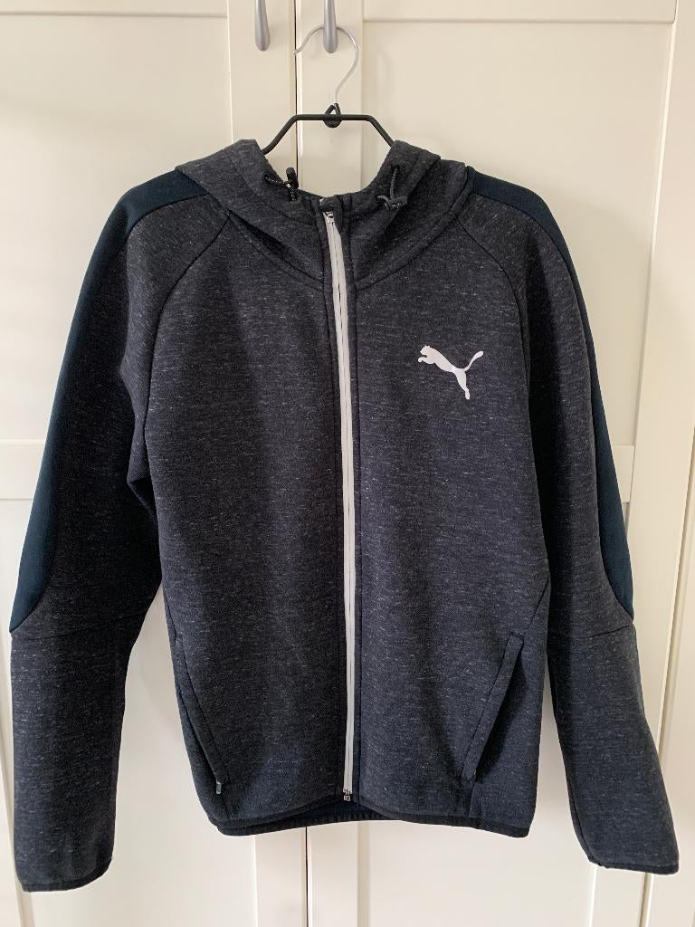 Puma Evostripe sweater, Puma, Zwart, Ophalen of Verzenden, Zo goed als nieuw