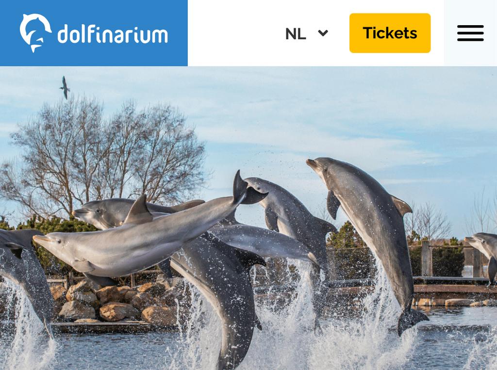 Dolfinarium, 1 kaart, Tickets en Kaartjes, Twee personen, Ticket of Toegangskaart