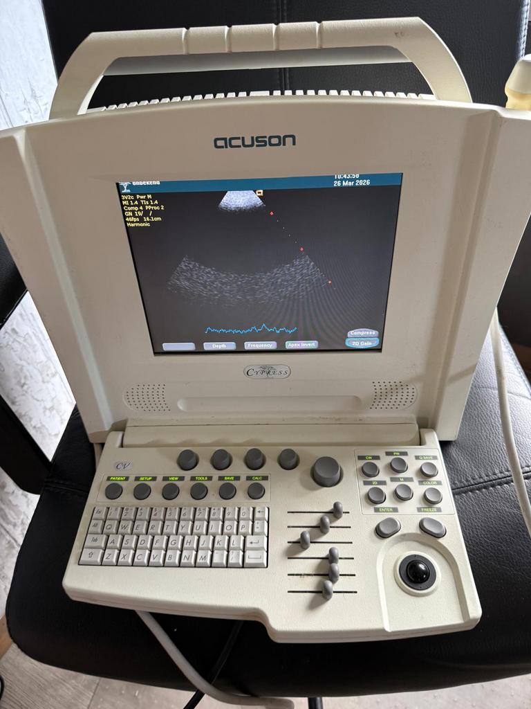 Echo apparaat ultrasound siemens/accuson cypress portable, Dieren en Toebehoren, 6 jaar of ouder, CDV (hondenziekte), Geslacht onbekend