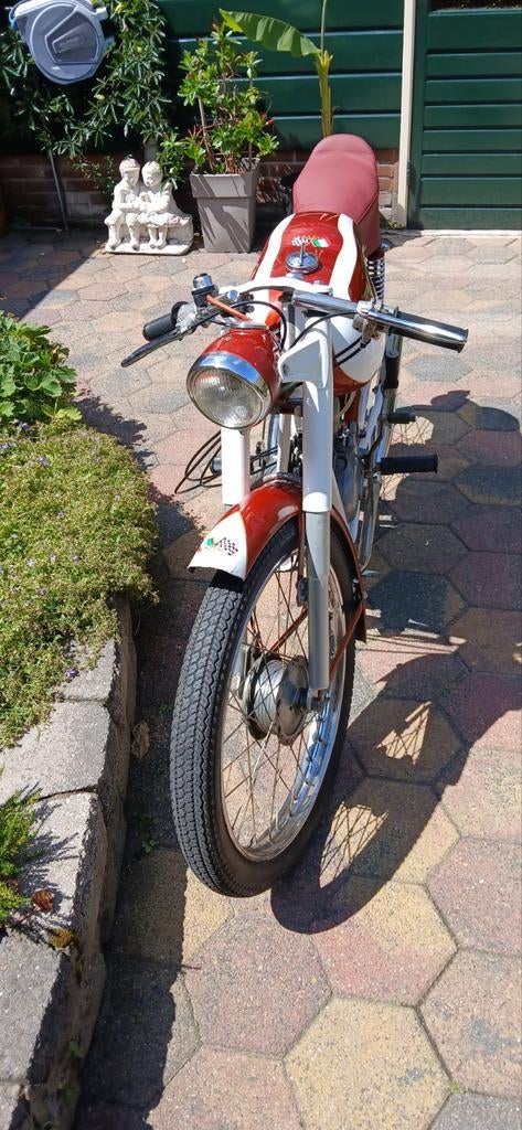 Oldtimer bromfiets  Testi Grand Prix, Overige merken, Maximaal 45 km/u, 3 versnellingen, 49 cc