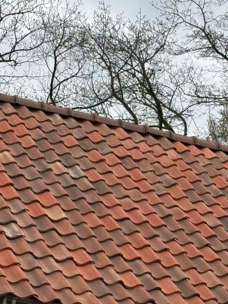 Artisinale boomse dakpan NIEUW!!!, Doe-het-zelf en Verbouw, Dakpannen en Dakbedekking, Steen of Klei, Nieuw, Ophalen of Verzenden