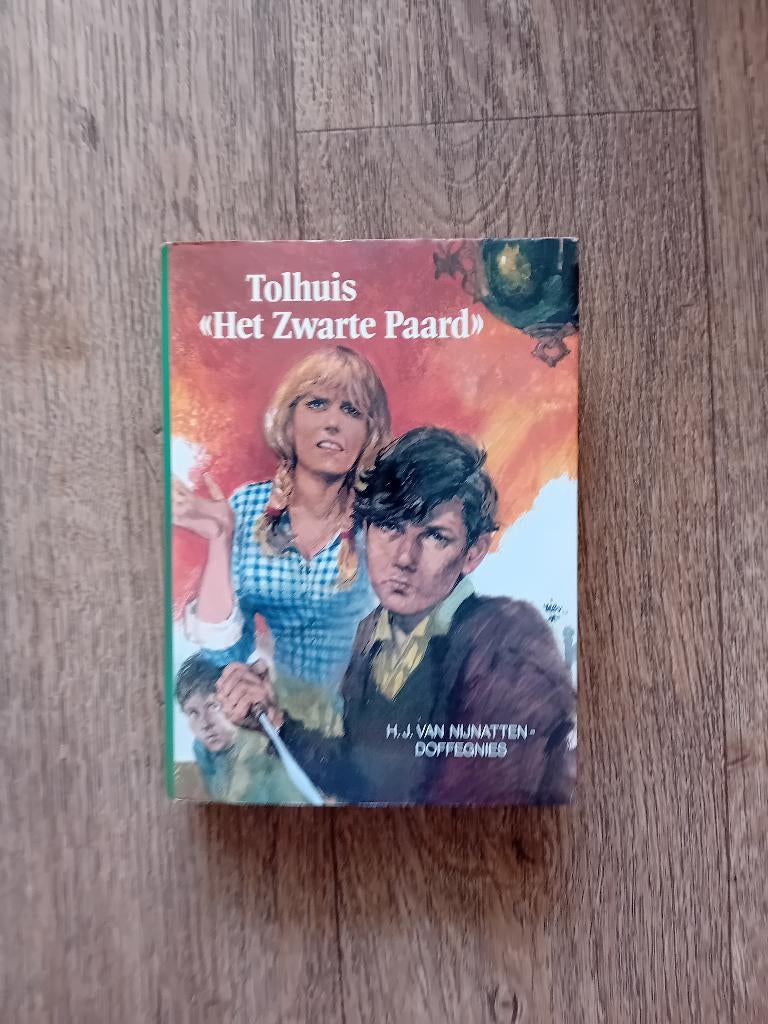 Boek - Tolhuis "Het Zwarte Paard" - H.J. van Nijnatten, Ophalen of Verzenden, Zo goed als nieuw, Nederland, H.J. van Nijnatten-Doffegnies