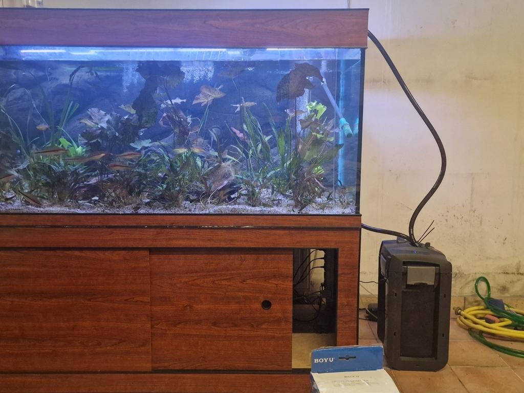 Div aquara op maat., Dieren en Toebehoren, Vissen | Aquaria en Toebehoren, Ophalen, Deutzstraat  2 1976bl, Aquariumbouwer, Nieuw