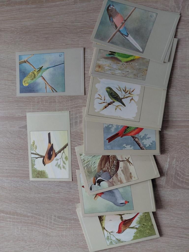 Complete serie Sluis vogelkaarten nr 1 t/m 60, Ophalen of Verzenden, 1960 tot 1980, Ongelopen, België en Luxemburg