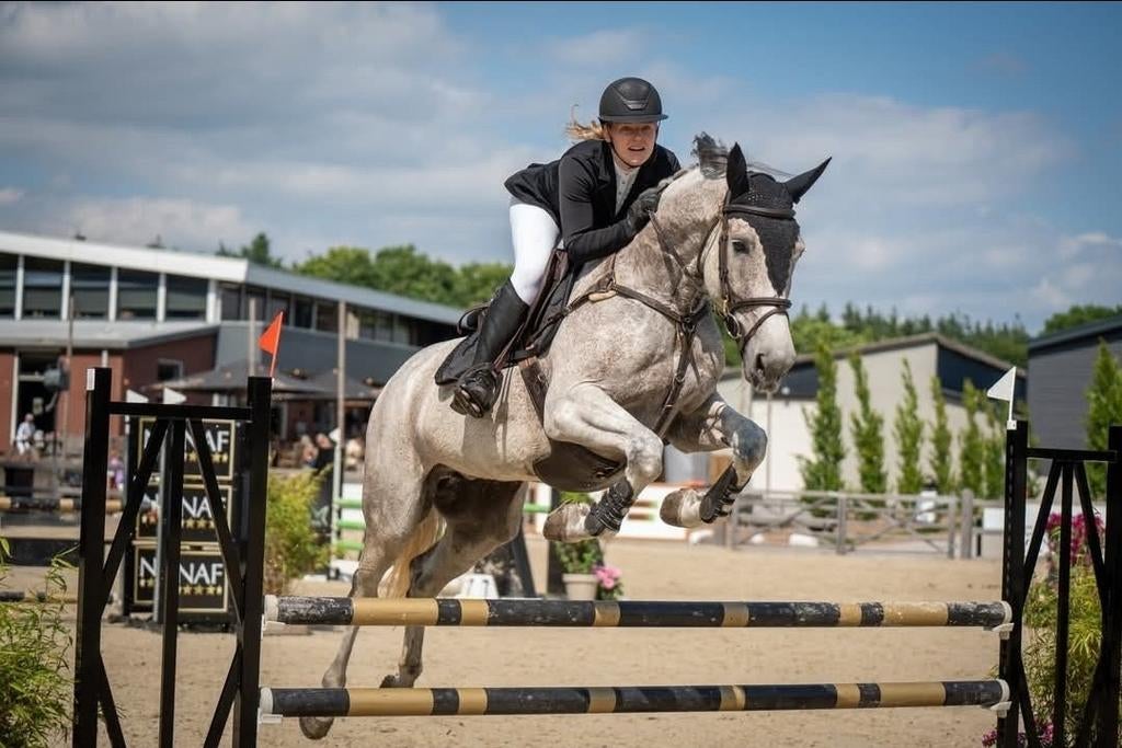 Zadelmak maken, instructie, uitbrengen paarden/pony's