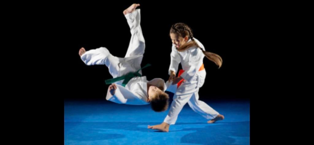 Gratis judoles Vaassen, Ophalen of Verzenden, Zo goed als nieuw