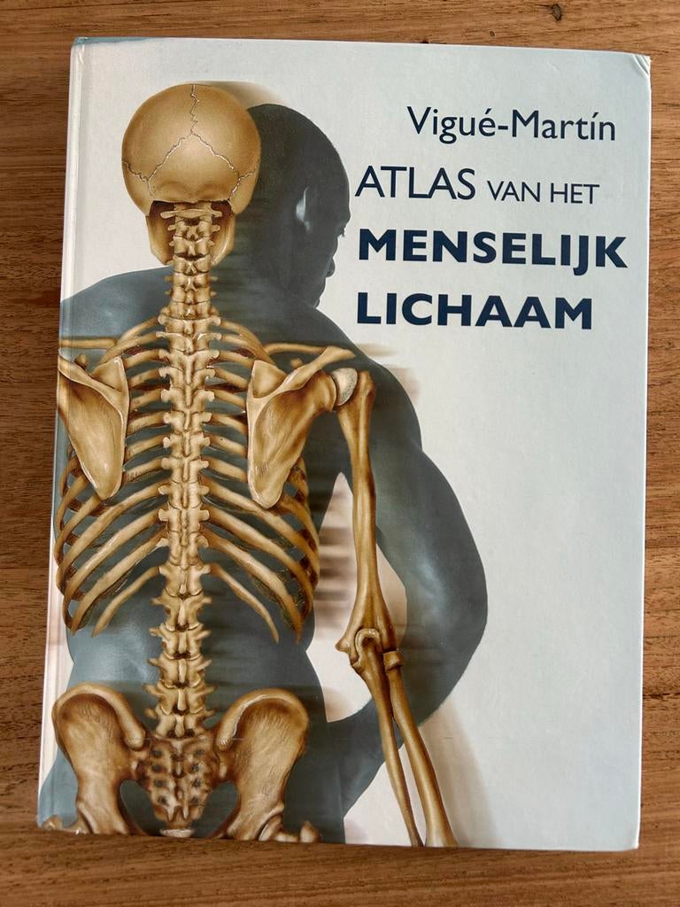 Atlas van het Menselijk Lichaam - Vigúe-Martín, Boeken, Encyclopedieën, Ophalen of Verzenden, Gelezen, Medisch, Los deel